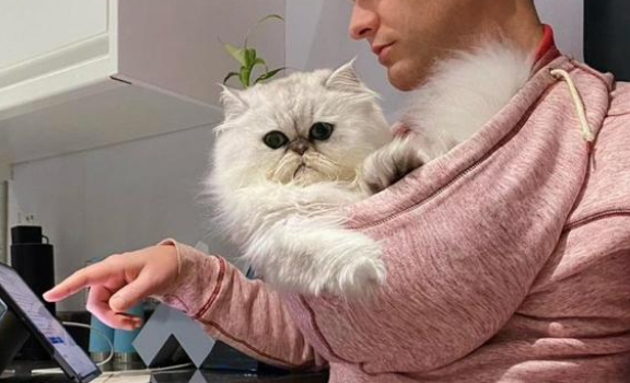 过分！臭脸猫咪把猫奴当移动猫窝，十几斤趴脖子上好沉重！