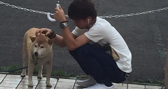 柴犬被主人拴在路边 路过小哥为其撑伞