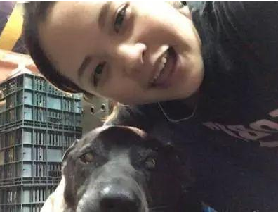 小狗趴奶奶遗照前离逝，谢谢16年前的收容，家人把它葬在庭院