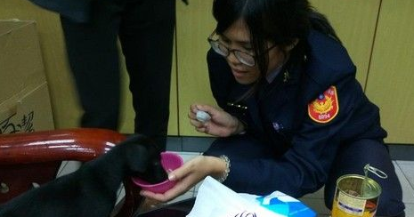 5只小黑狗遭双脚狂甩还乱打 老翁瞎扯训练小狗 5只小黑狗遭双脚狂甩还乱打 老翁瞎扯训练小狗