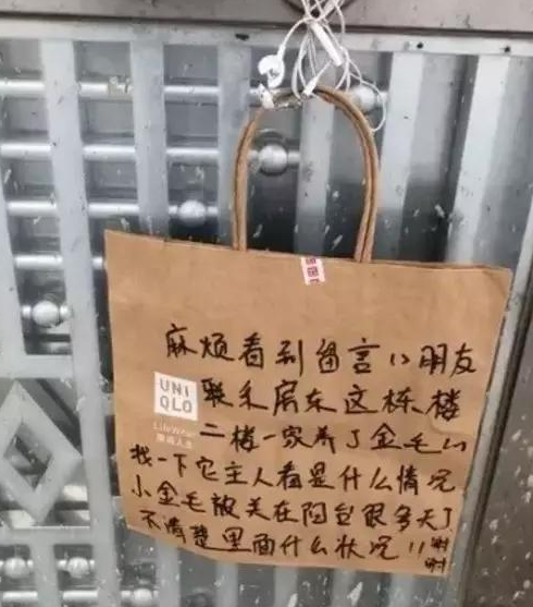 主人因封路无法返回，邻居隔空投喂金毛，网友：真暖！