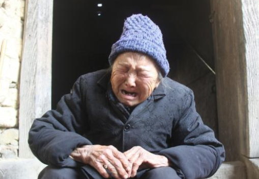 养了四年的狗意外走丢,奶奶每天步行5万步找狗:它就是我的家人 养了四年的狗意外走丢,奶奶每天步行5万步找狗:它就是我的家人