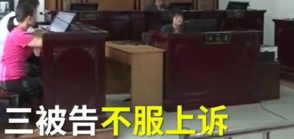 6岁男童被狗咬身亡获赔78万 却遭被告人不服上诉
