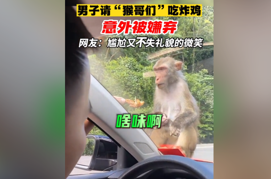 路上偶遇“猴哥”，将自己舍不得吃的炸鸡给它，却……