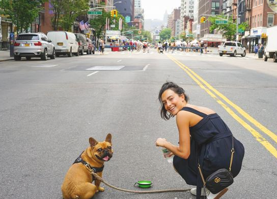 狗主人破口大骂:“我每日都遛猫遛狗,为何狗狗還是撕家? 狗主人破口大骂:“我每日都遛猫遛狗,为何狗狗還是撕家?