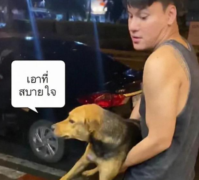 泰国小哥喝断片，醒后发现家里多了只狗？好友：昨晚你绑回来的！