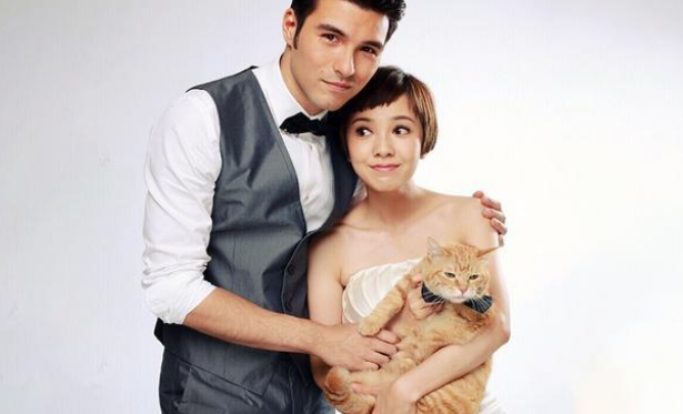 猫生逆袭！残疾流浪猫变身动物演员，和众多大牌明星搭戏