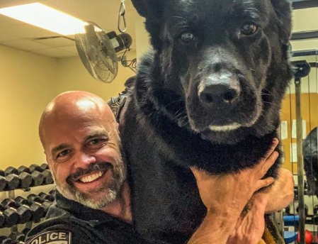 警犬追犯人从6米高跳下，受伤还努力完成任务，帅得不行！