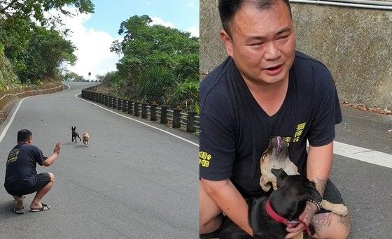 弃养汪路边拦车半路认老爸 男子霸气抱回两汪
