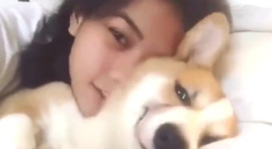 狗狗被女主人怀着睡,結果笑容可真贱,幸福快乐全写在脸部! 狗狗被女主人怀着睡,結果笑容可真贱,幸福快乐全写在脸部!