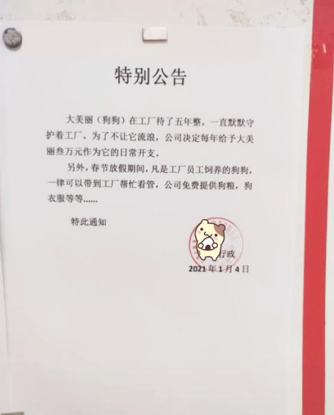 年薪上万的打工犬,成全工厂团宠,网友:我竟会羡慕一只狗 年薪上万的打工犬,成全工厂团宠,网友:我竟会羡慕一只狗