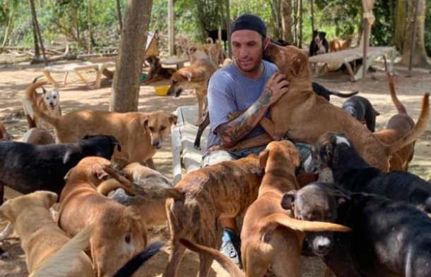 飓风来临，男子把约300只狗狗搬回家，疯狂行为救了所有狗狗性命