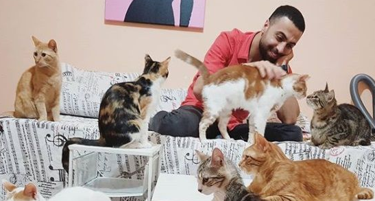 全盲猫咪听见琴音超喜欢 爱猫钢琴家又多位忠实听众 全盲猫咪听见琴音超喜欢 爱猫钢琴家又多位忠实听众