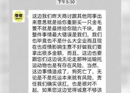 全网在关注一条金毛狗,私改陆运死不承认,网友明星都忍不了 全网在关注一条金毛狗,私改陆运死不承认,网友明星都忍不了