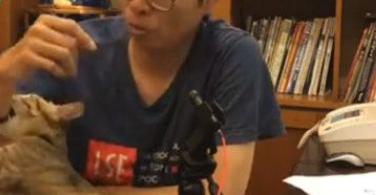 朕也想亮亮相! 爱猫乱入直播超会刷存在 朕也想亮亮相! 爱猫乱入直播超会刷存在