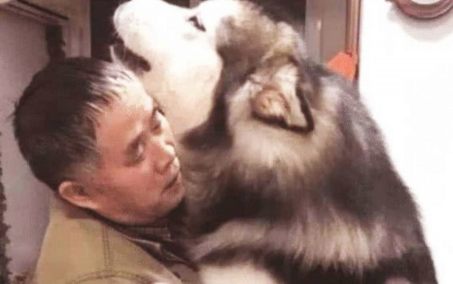 狗狗犯错误,被主人家骂哭,接着竟跳至老年人的身上,不断地发嗲发牢骚 狗狗犯错误,被主人家骂哭,接着竟跳至老年人的身上,不断地发嗲发牢骚