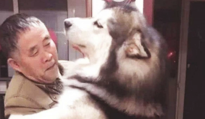 狗狗犯错误，被主人家骂哭，接着竟跳至老年人的身上，不断地发嗲发牢骚