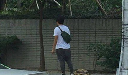 男子在街上遛乌龟 有人笑称遛完都天黑了