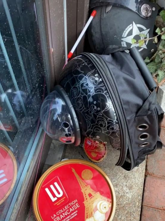 猫包被丢宠物店门口，主人留纸条求寄养，店主看完后傻眼：猫在哪