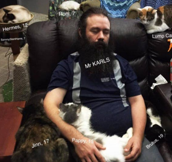 爱猫男子创办猫咪收容之家 让老猫们有一个温暖的家