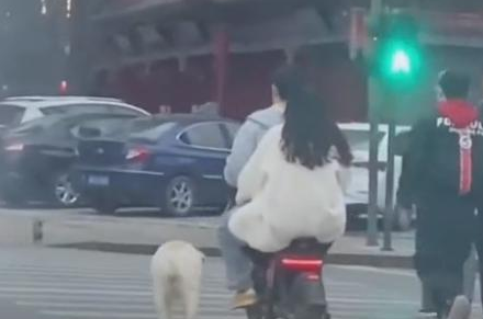 主人骑电动车溜大型犬，拍摄者：“感觉特别暖心”