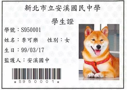流浪狗守卫大学8年,在它生辰时,校领导的1个行为让成千上万人关注! 流浪狗守卫大学8年,在它生辰时,校领导的1个行为让成千上万人关注!