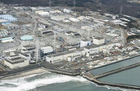 日本福岛核灾后现畸形动物 体内放射物超标300倍