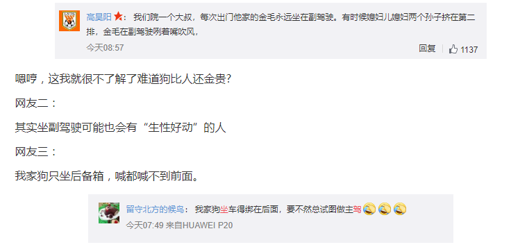 让狗狗坐副驾驶 谁知却惨遭罚款和扣分