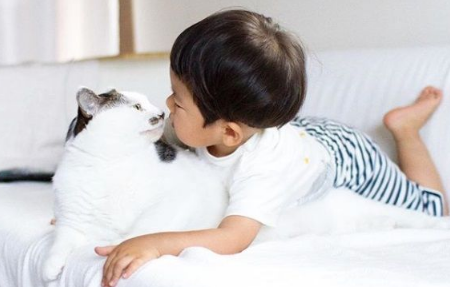猫哥哥和人类弟弟的成长日记 看起来超级幸福! 猫哥哥和人类弟弟的成长日记 看起来超级幸福!