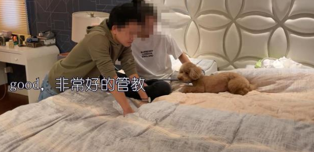 想跟女朋友亲热？那得先过狗子这一关