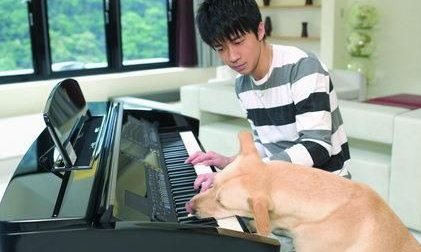 爱犬下半身瘫痪 但光良却对自己的爱犬不离不弃 爱犬下半身瘫痪 但光良却对自己的爱犬不离不弃