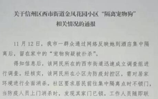 文明防疫应容得下一只无辜宠物狗
