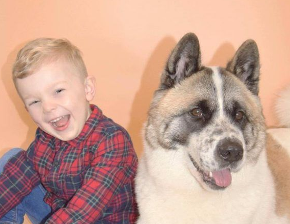 孕妇执意留下爱犬 汪救回她和宝宝一命