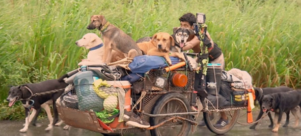 墨西哥乞丐6年徙步手推车走14000千米 救助伤势流浪犬 墨西哥乞丐6年徙步手推车走14000千米 救助伤势流浪犬