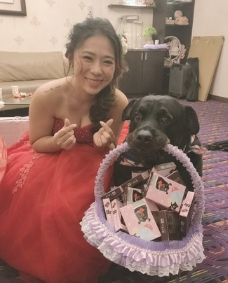 婚宴新人客人合照，狗狗倒在正中央政府搏版面，抢镜：我才算是主角！