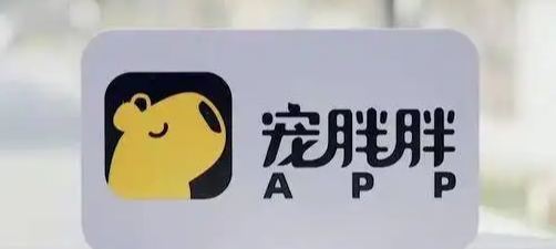 宠胖胖软件怎么用