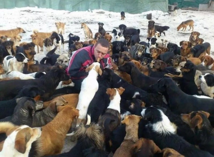 暖男每日被750只流浪犬包围着,界面无比震撼人心,餐费一月8万