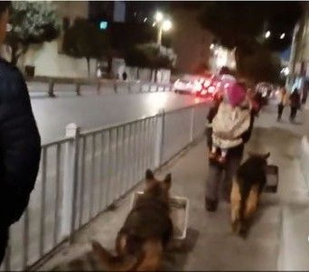 浪浪收编后每天帮忙收摊 甚至会因挂念主人不吃饭