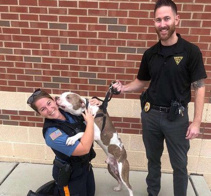 比特犬被主人绑树上虐待 幸得志工和警察帮助获得解救 比特犬被主人绑树上虐待 幸得志工和警察帮助获得解救