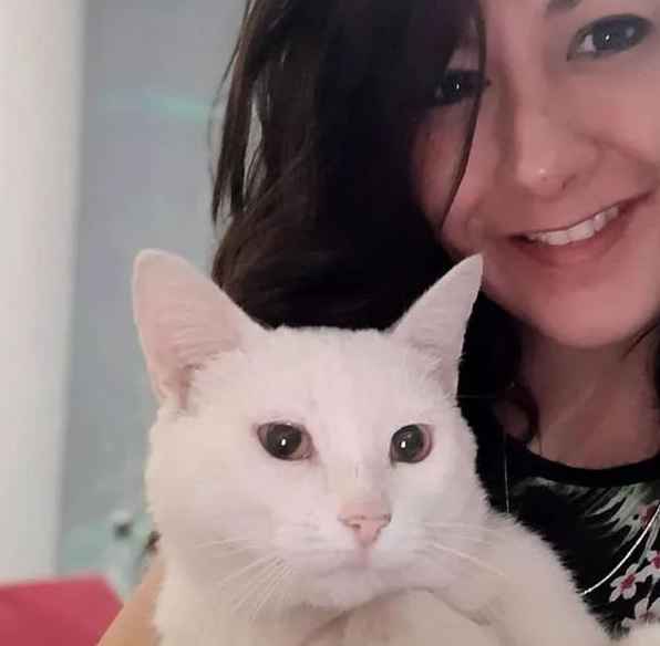 断尾流浪猫在超市门前骗吃骗喝，最后…直接骗到了一个家