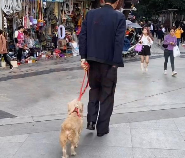 走失多日的狗狗，竟与主人在街头相遇，重逢的画面让人泪目