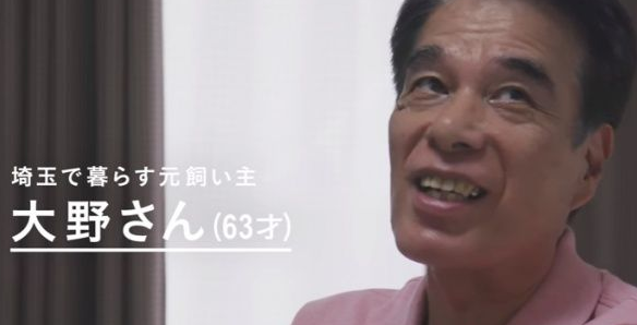 猫咪到底认得主人声音吗？答案在这支广告里