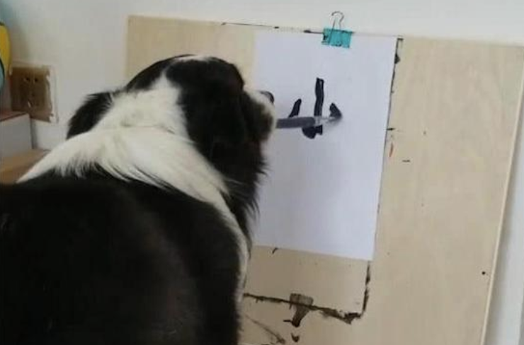 边牧叼起画笔工具,就在纸上写了个“小”字,主人家:你啥意思? 边牧叼起画笔工具,就在纸上写了个“小”字,主人家:你啥意思?