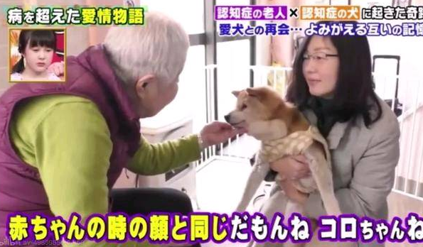 狗狗和主人都换上了老年痴呆 多年后的重逢 还会认得彼此吗？
