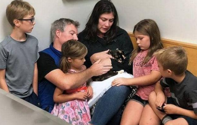 主人临终将猫托付给子女，猫却独自寻找了她十年，结局让人泪目