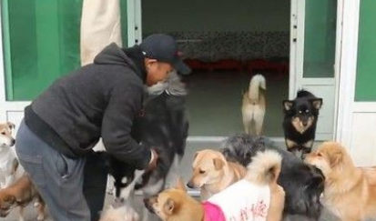 收养200多只浪浪 花光积蓄还和女友分手了