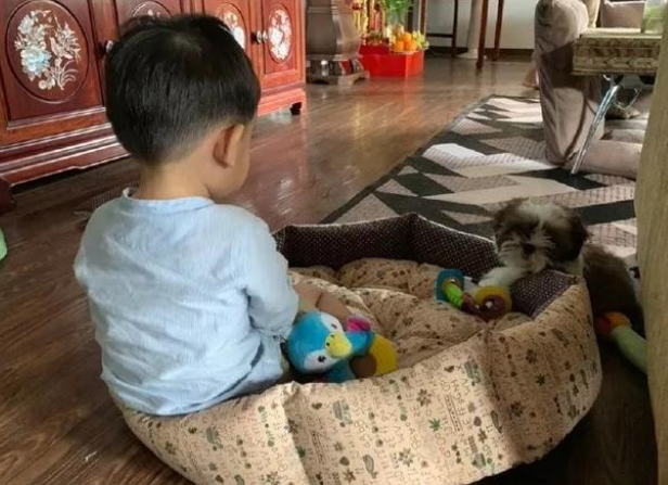 话痨宝宝碎碎念教育爱乱跑的狗狗,狗:你怎么还没开学? 话痨宝宝碎碎念教育爱乱跑的狗狗,狗:你怎么还没开学?