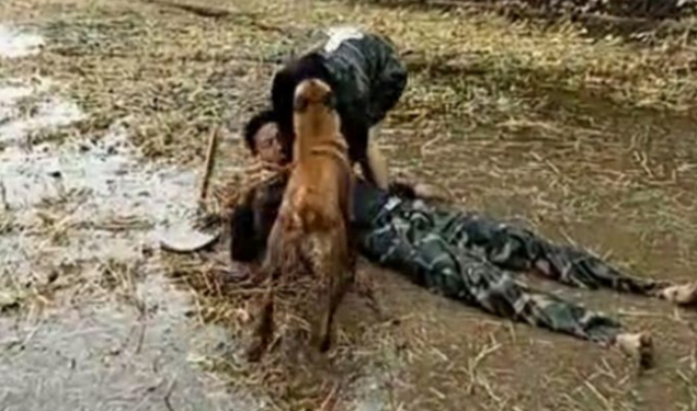 小伙突发性病症瘫倒，狗狗看到后，干了那件过后一家人都谢谢它