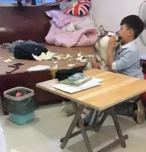 二哈咬烂练习本，儿子必须痛哭，可母亲刚走却直言不讳：夜里让你用餐