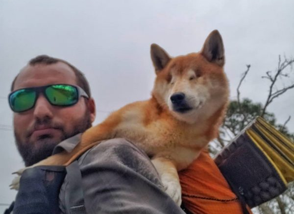 爱犬失去视力变胆小 为重拾自信男子带它再次踏上旅程